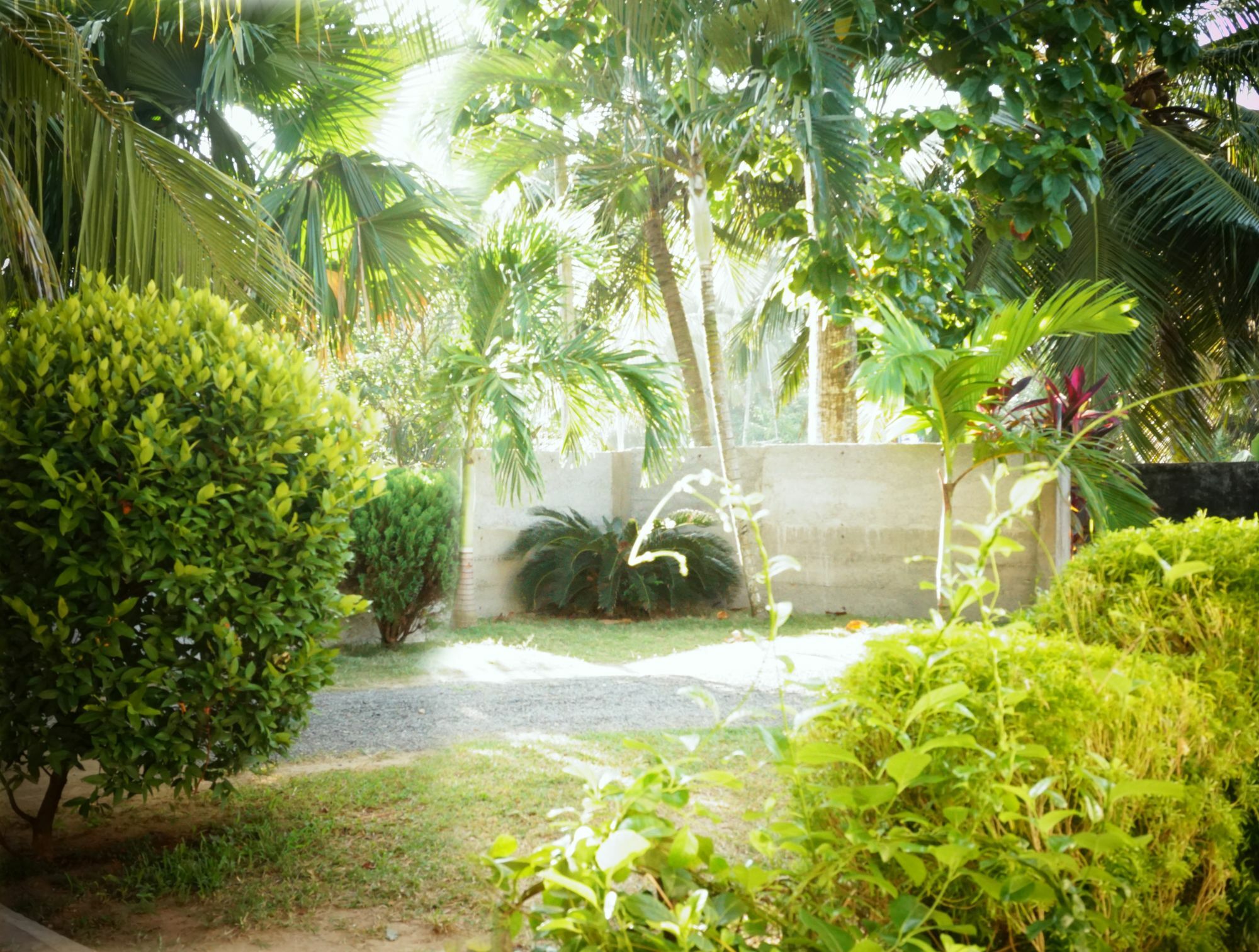 Liana Private Villa Near Tangalle Beach Ngoại thất bức ảnh